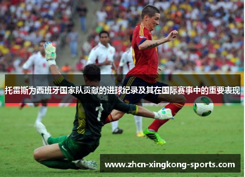 托雷斯为西班牙国家队贡献的进球纪录及其在国际赛事中的重要表现