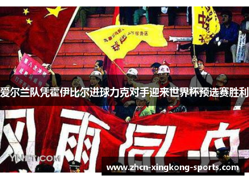 爱尔兰队凭霍伊比尔进球力克对手迎来世界杯预选赛胜利
