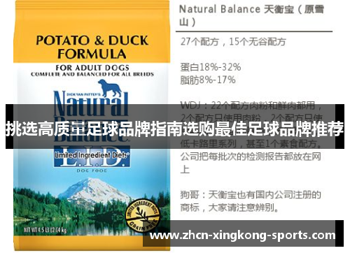 挑选高质量足球品牌指南选购最佳足球品牌推荐
