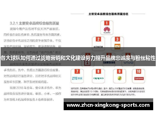 各大球队如何通过战略营销和文化建设努力提升品牌忠诚度与粉丝粘性