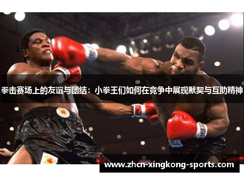 拳击赛场上的友谊与团结：小拳王们如何在竞争中展现默契与互助精神