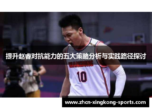 提升赵睿对抗能力的五大策略分析与实践路径探讨