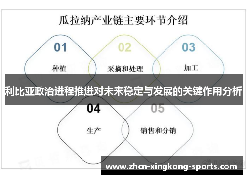 利比亚政治进程推进对未来稳定与发展的关键作用分析