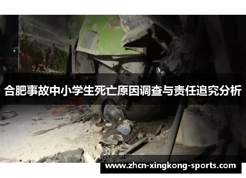 合肥事故中小学生死亡原因调查与责任追究分析
