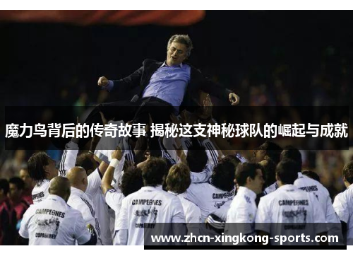 魔力鸟背后的传奇故事 揭秘这支神秘球队的崛起与成就